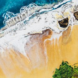 birds eye of the shore