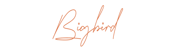 BIGBIRD