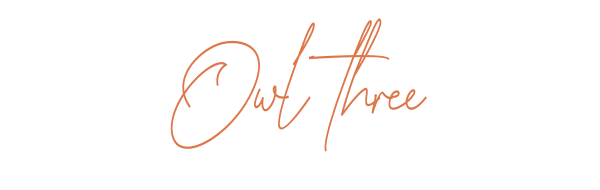 OWL THREE