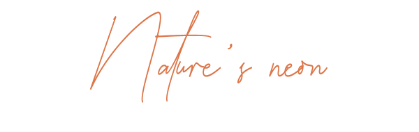 nature’s neon