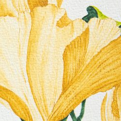 ode to the flowers