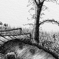 the bridge
