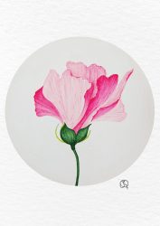 blush of nature