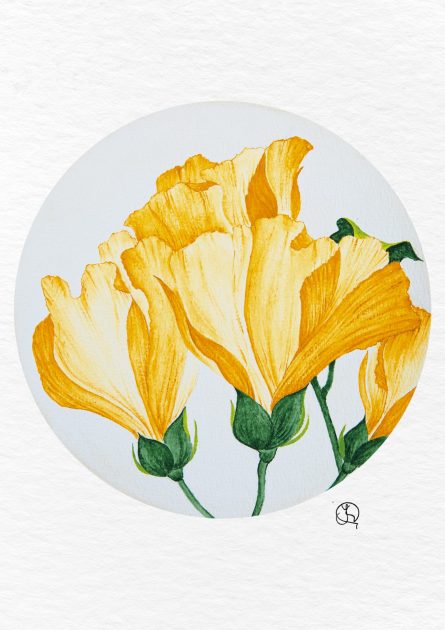 ode to the flowers