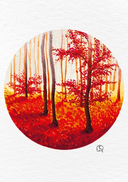 orange forest