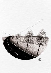 path of reflection
