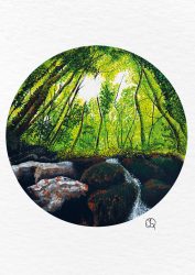 quiet forest