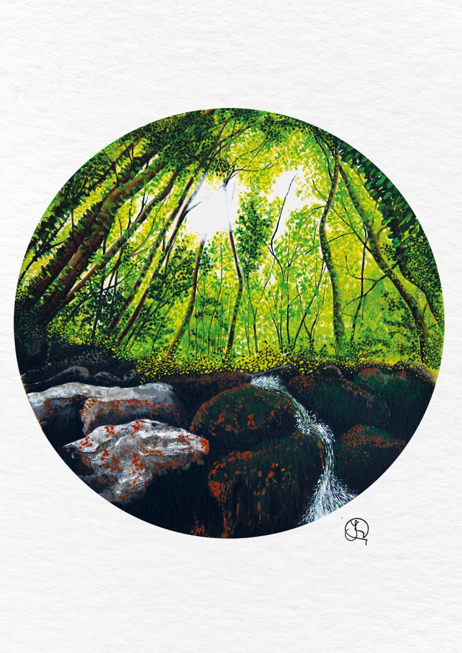 quiet forest
