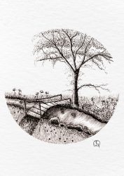 the bridge