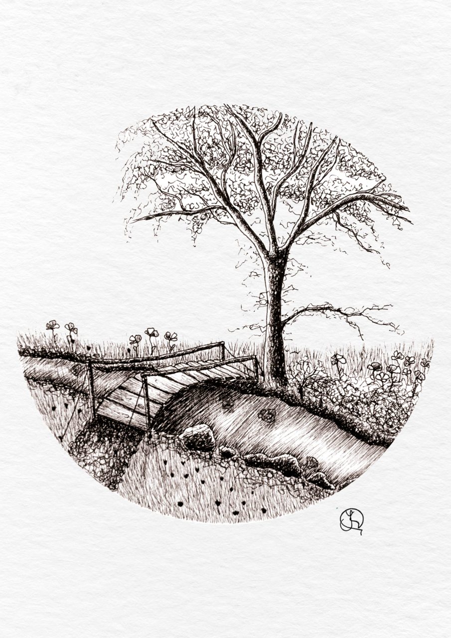 the bridge